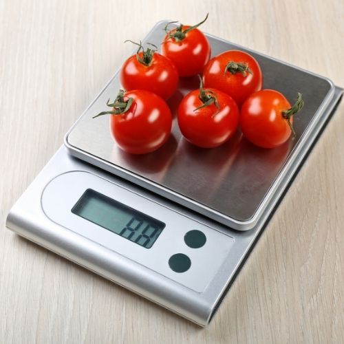Portion Scales
